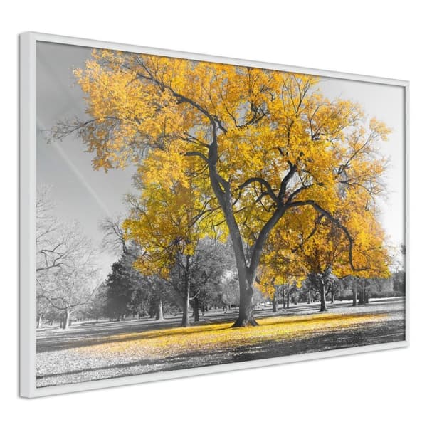 Inramad Poster / Tavla - Golden Tree