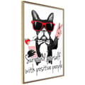 Miniatyrbild 1 av 9: Inramad Poster / Tavla - Positive Bulldog