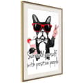 Miniatyrbild 1 av 9: Inramad Poster / Tavla - Positive Bulldog
