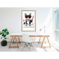 Miniatyrbild 6 av 9: Inramad Poster / Tavla - Positive Bulldog