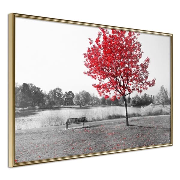 Inramad Poster / Tavla - Autumn Colours I