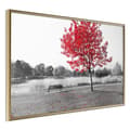 Miniatyrbild 1 av 9: Inramad Poster / Tavla - Autumn Colours I