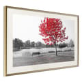 Miniatyrbild 1 av 9: Inramad Poster / Tavla - Autumn Colours I