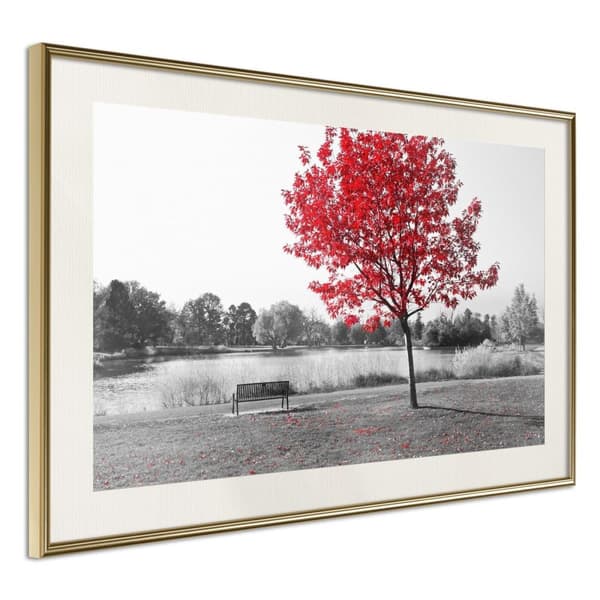 Inramad Poster / Tavla - Autumn Colours I Guldram med passepartout 90x60