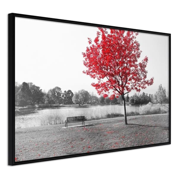 Inramad Poster / Tavla - Autumn Colours I