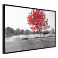 Miniatyrbild 1 av 9: Inramad Poster / Tavla - Autumn Colours I