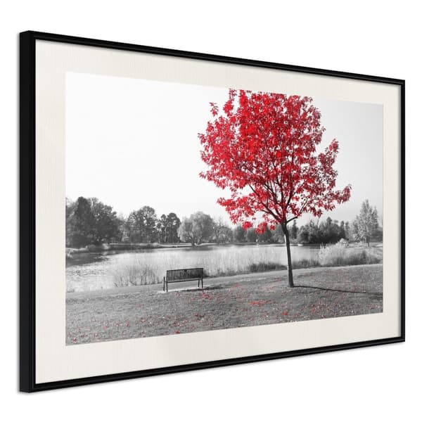 Inramad Poster / Tavla - Autumn Colours I