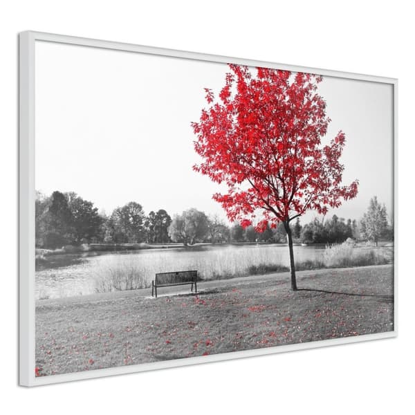 Inramad Poster / Tavla - Autumn Colours I