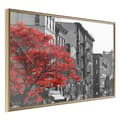 Miniatyrbild 1 av 9: Inramad Poster / Tavla - Autumn Colours II