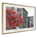 Miniatyrbild 1 av 9: Inramad Poster / Tavla - Autumn Colours II