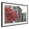 Miniatyrbild 1 av 9: Inramad Poster / Tavla - Autumn Colours II