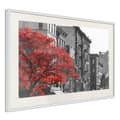 Miniatyrbild 1 av 9: Inramad Poster / Tavla - Autumn Colours II