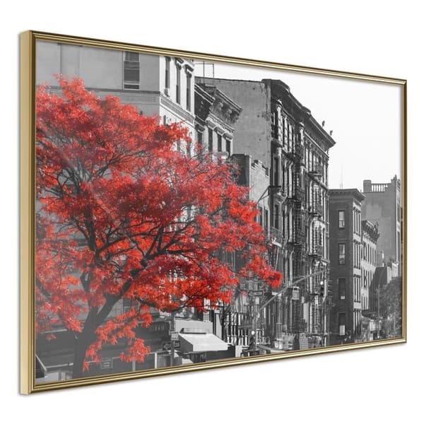 Inramad Poster / Tavla - Autumn Colours II