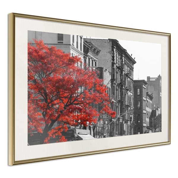 Inramad Poster / Tavla - Autumn Colours II