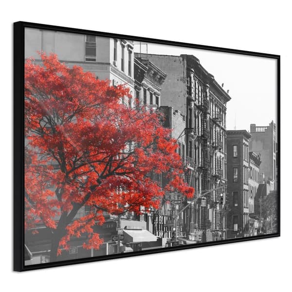 Inramad Poster / Tavla - Autumn Colours II