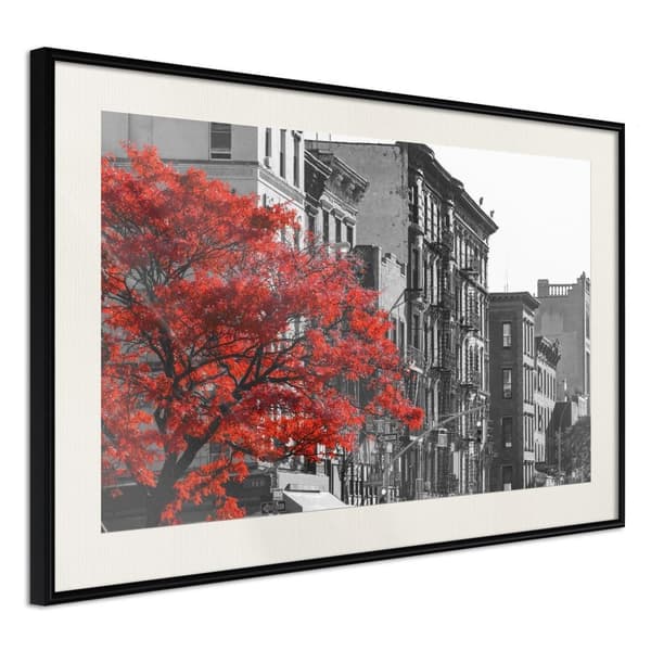 Inramad Poster / Tavla - Autumn Colours II