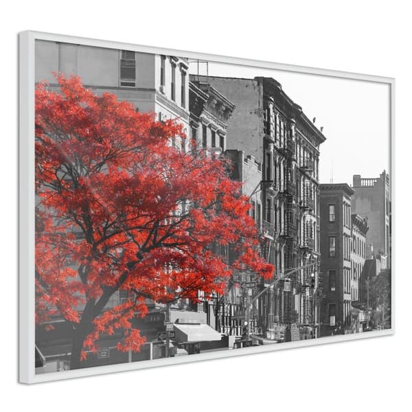 Inramad Poster / Tavla - Autumn Colours II