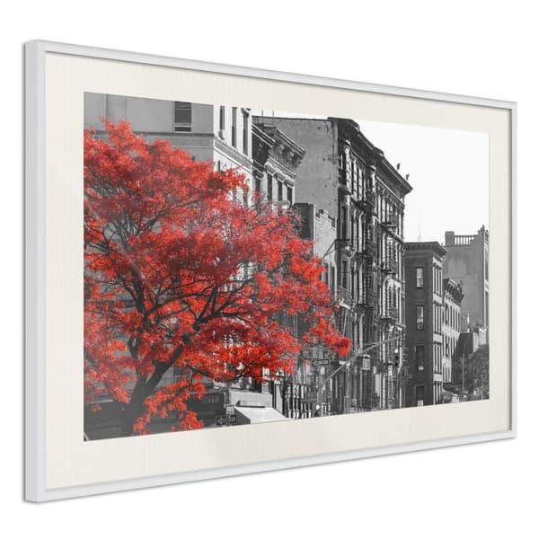 Inramad Poster / Tavla - Autumn Colours II Vit ram med passepartout 60x40
