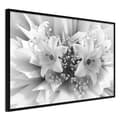 Miniatyrbild 1 av 9: Inramad Poster / Tavla - Crystal Lillies