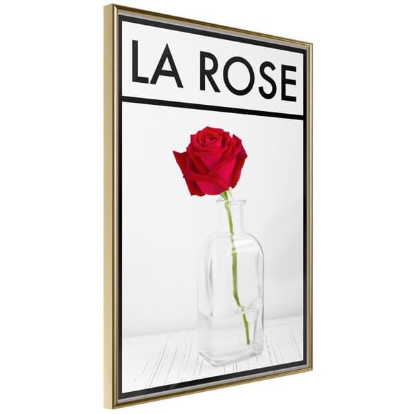 Inramad Poster / Tavla - Rose in the Vase