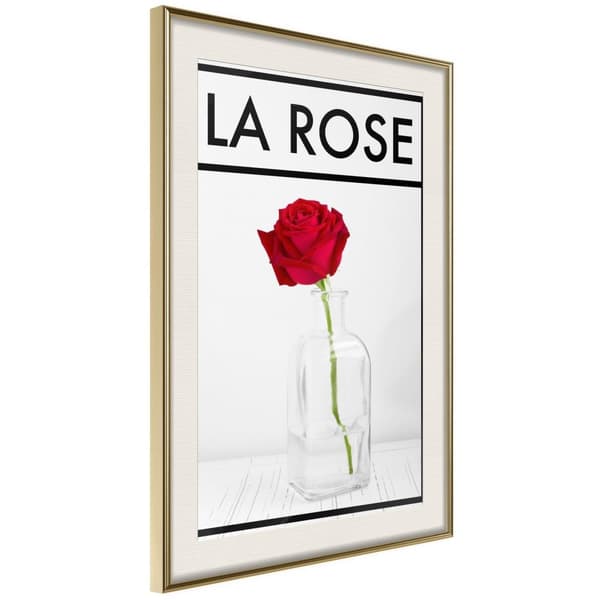Inramad Poster / Tavla - Rose in the Vase