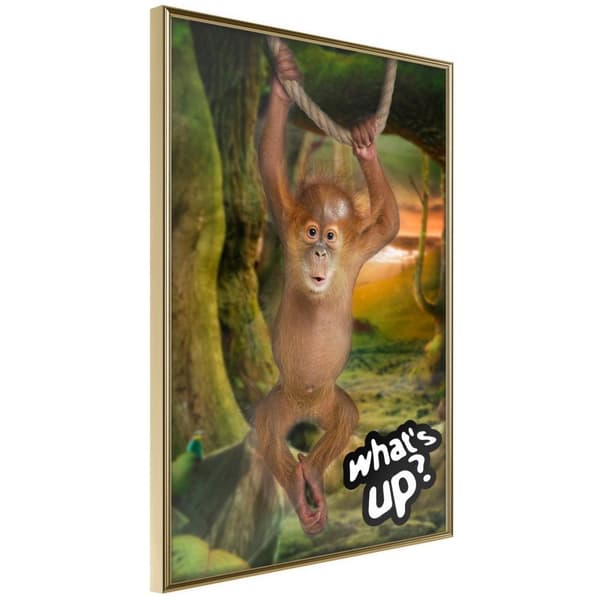 Inramad Poster / Tavla - Life in the Jungle