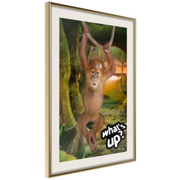 Inramad Poster / Tavla - Life in the Jungle