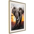 Miniatyrbild 1 av 9: Inramad Poster / Tavla - Majestic Elephant