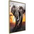 Miniatyrbild 1 av 9: Inramad Poster / Tavla - Majestic Elephant