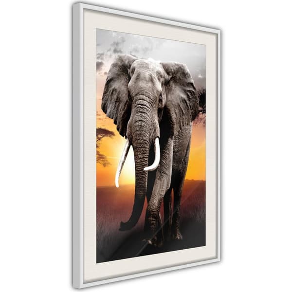 Inramad Poster / Tavla - Majestic Elephant