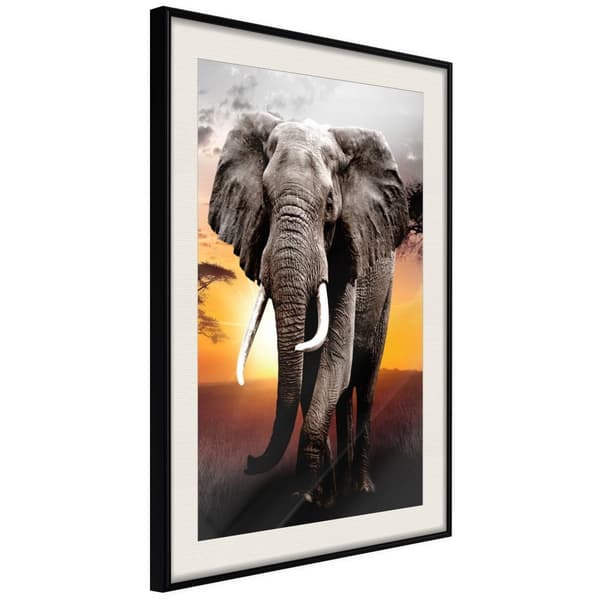 Inramad Poster / Tavla - Majestic Elephant