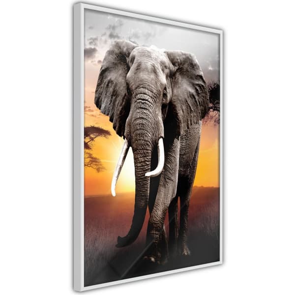 Inramad Poster / Tavla - Majestic Elephant