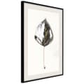 Miniatyrbild 1 av 9: Inramad Poster / Tavla - Silvery Leaf