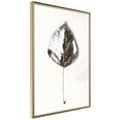 Miniatyrbild 1 av 9: Inramad Poster / Tavla - Silvery Leaf