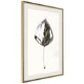 Miniatyrbild 1 av 9: Inramad Poster / Tavla - Silvery Leaf
