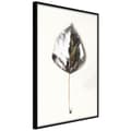 Miniatyrbild 1 av 9: Inramad Poster / Tavla - Silvery Leaf
