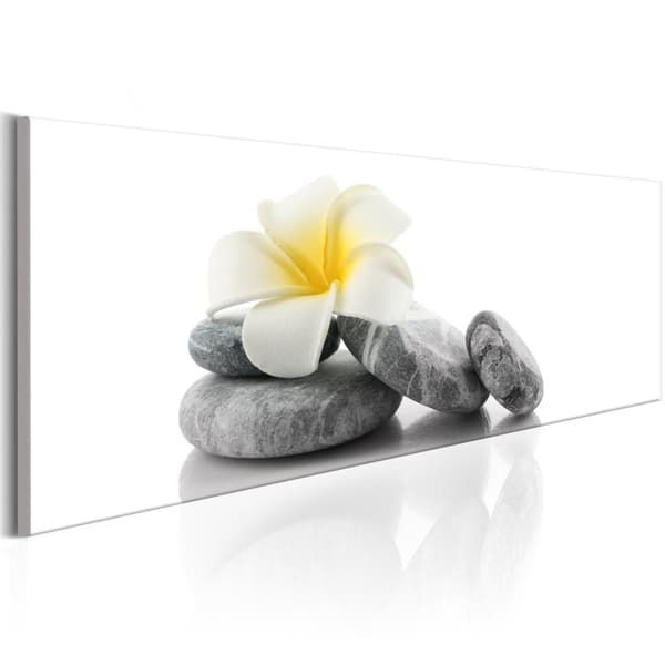 Canvas Tavla - White Lotus 120x40