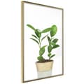 Miniatyrbild 1 av 11: Inramad Poster / Tavla - Piece of Nature II