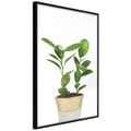 Miniatyrbild 1 av 11: Inramad Poster / Tavla - Piece of Nature II