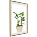 Miniatyrbild 9 av 11: Inramad Poster / Tavla - Piece of Nature II