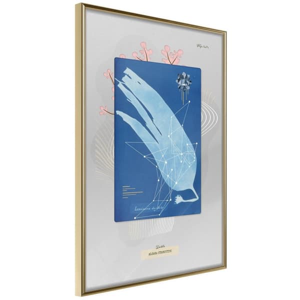 Inramad Poster / Tavla - Alga Cyanotype