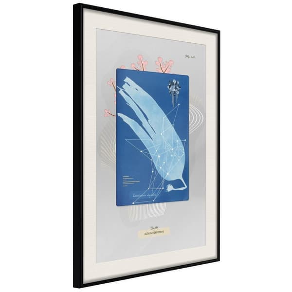 Inramad Poster / Tavla - Alga Cyanotype