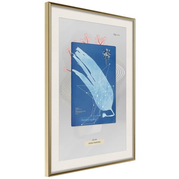 Inramad Poster / Tavla - Alga Cyanotype
