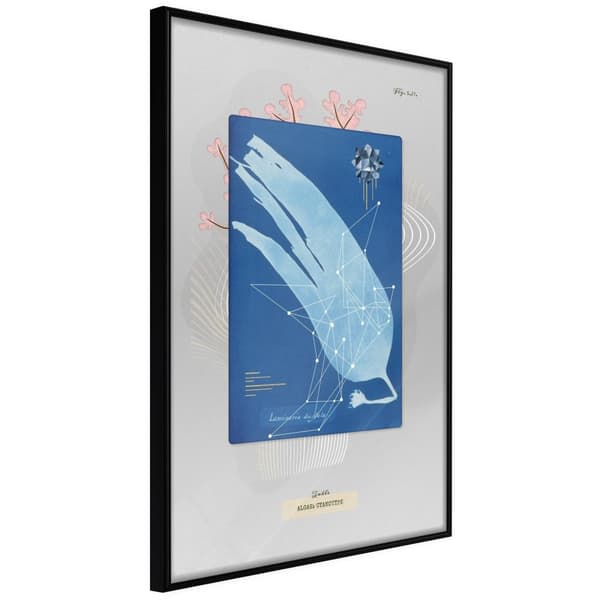 Inramad Poster / Tavla - Alga Cyanotype
