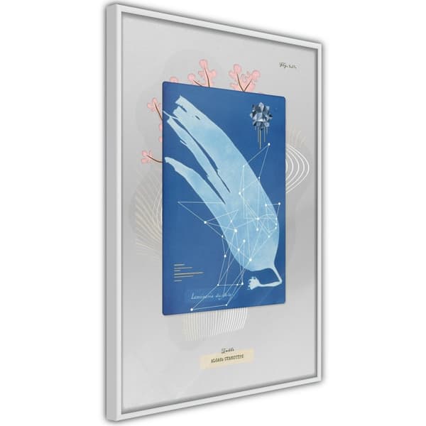 Inramad Poster / Tavla - Alga Cyanotype