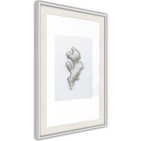 Inramad Poster / Tavla - Ginger Rhizome