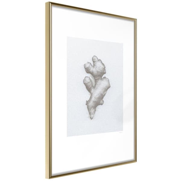 Inramad Poster / Tavla - Ginger Rhizome
