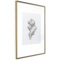 Miniatyrbild 1 av 11: Inramad Poster / Tavla - Ginger Rhizome