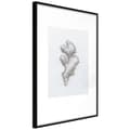 Miniatyrbild 1 av 11: Inramad Poster / Tavla - Ginger Rhizome