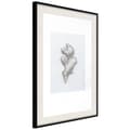 Miniatyrbild 4 av 11: Inramad Poster / Tavla - Ginger Rhizome
